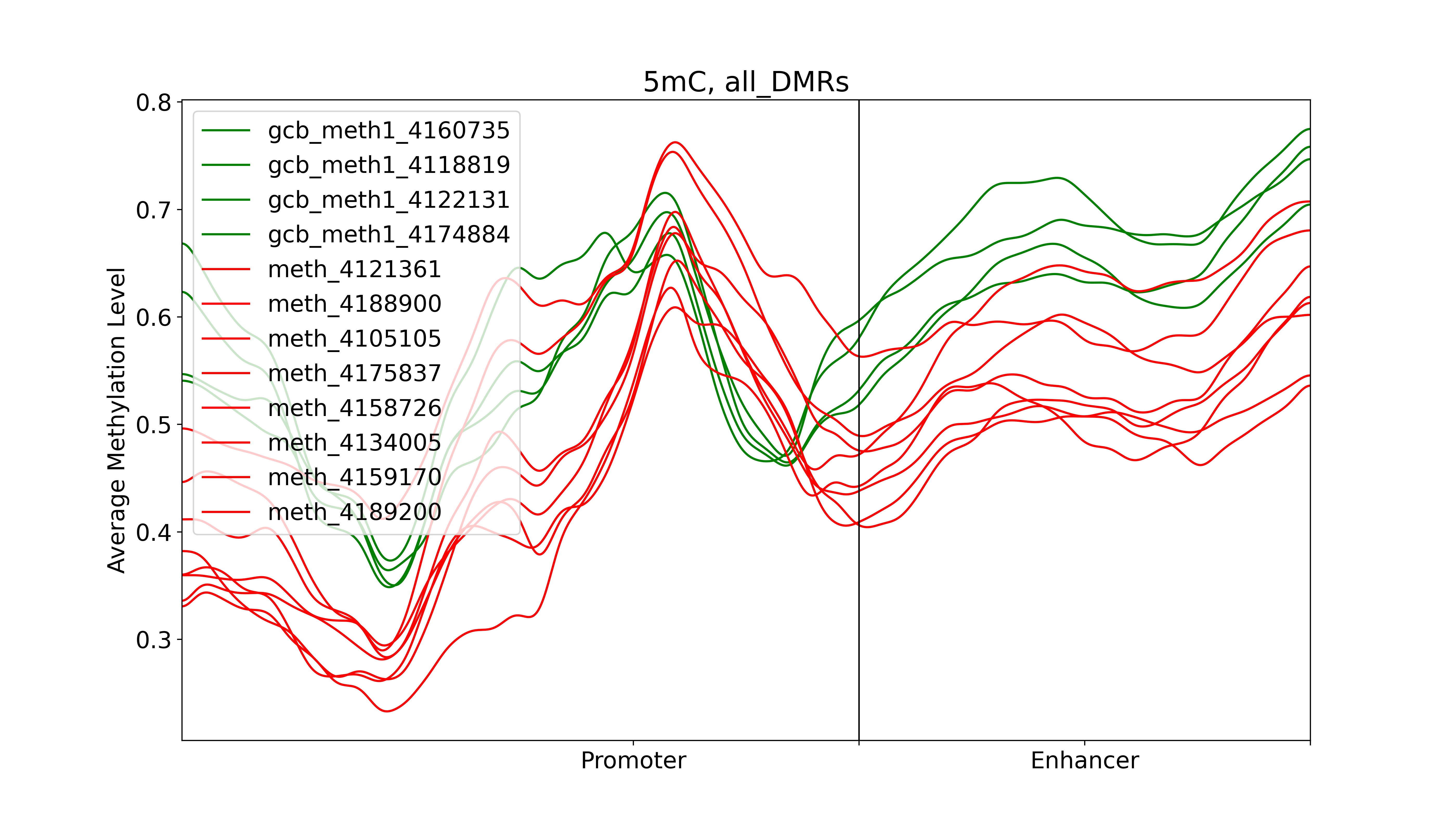 Enhancer region with methylation region for BCL2